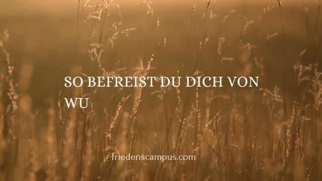 12 Stresstoleranzfenster