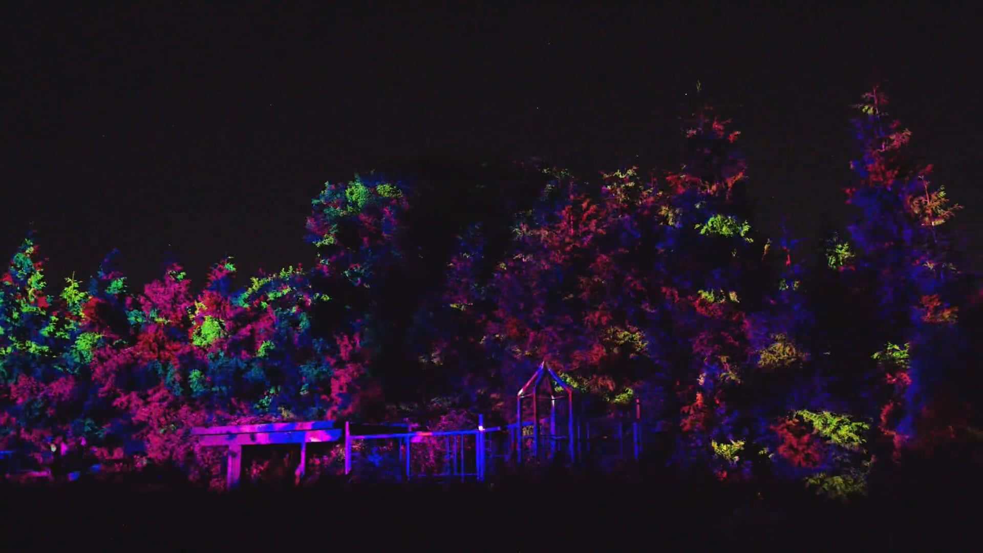 GLEAM 2025 / Olbrich Botanical Gardens / 'Reflections in Nature' / full length presentation