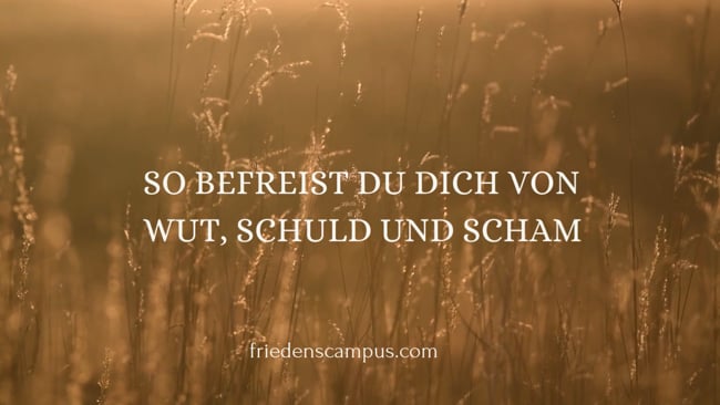 14 Nächste Schritte