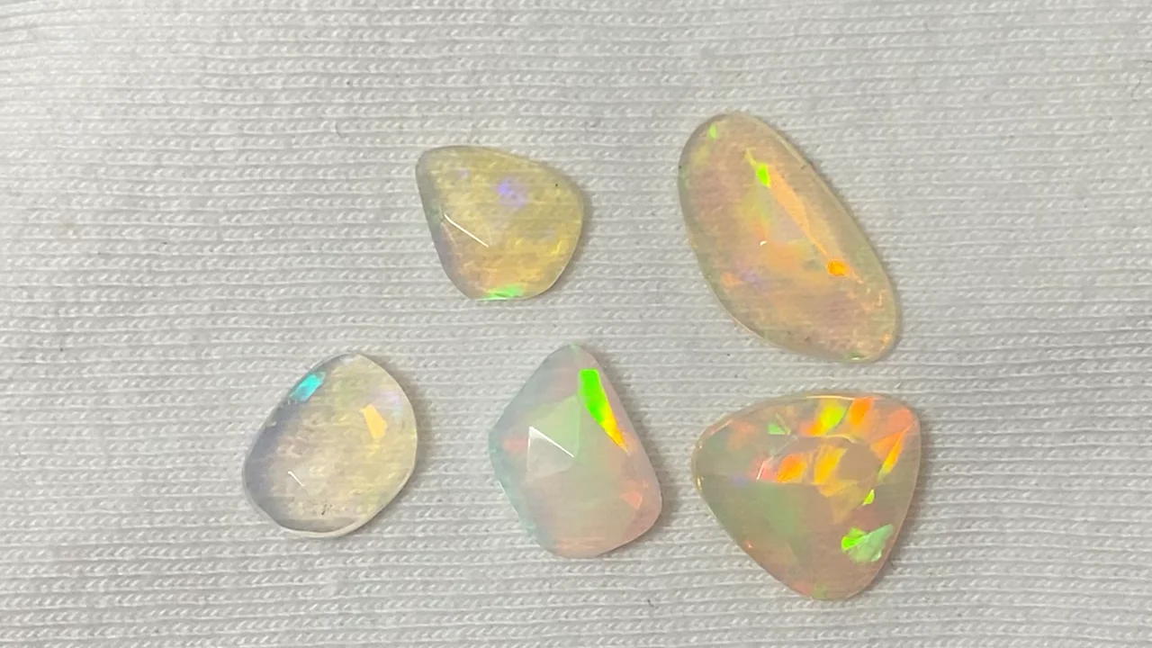 オリムピック スーパーカラマレッティー GCALSS-832ML/M - 【バス