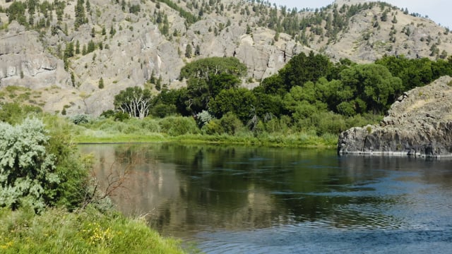 Near Hardy Bridge