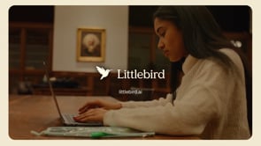 Littlebird — demo video