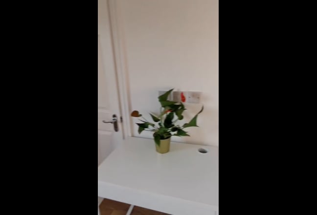 Ensuite Rooms in a newly decorated house share  Main Photo