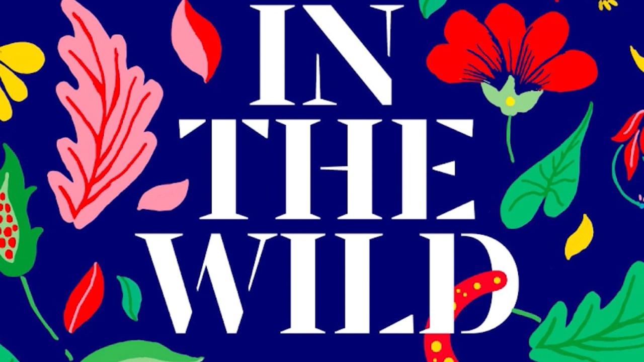 Video thumbnail: InTheWild_CaseStudy_9x16