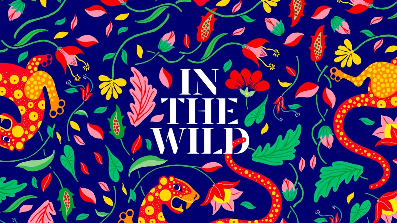 Video thumbnail: InTheWild_CaseStudy_16x9