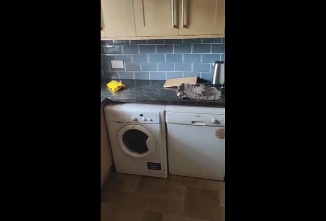 Two double bedroom flat available Main Photo