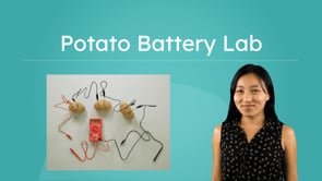 Potato Battery Lab