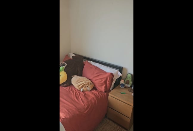 One double bed room to let ASAP Main Photo