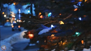 Where Are The Best Christmas Lights?