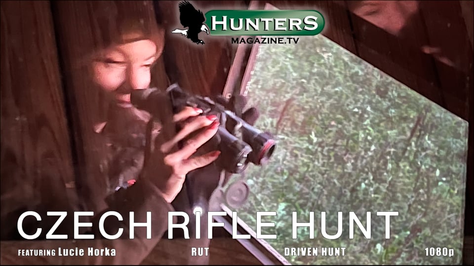 Rifle Hunt (Mouflon Hunt) in the Czech Republic