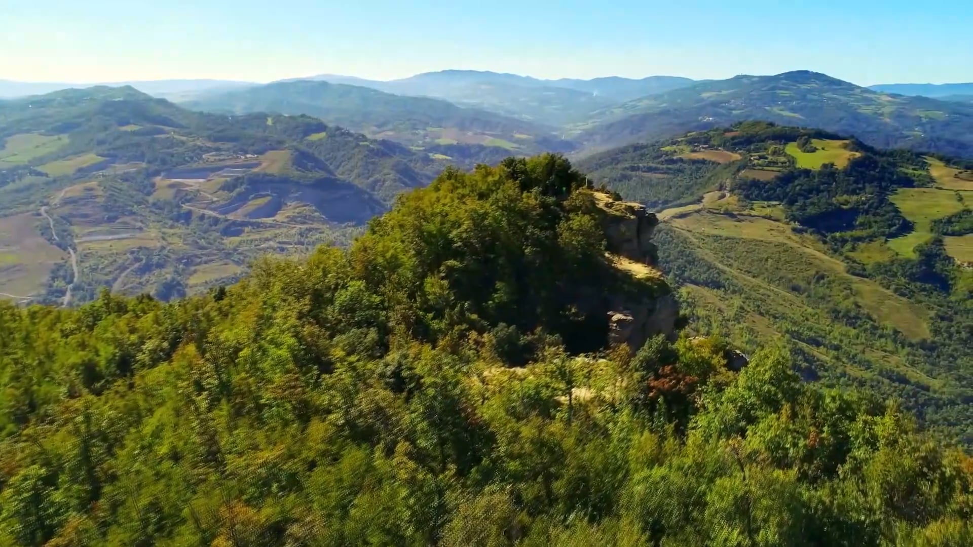 Il Cardinal Zuppi insiste su green e ambiente “Bisogna piantare più alberi”