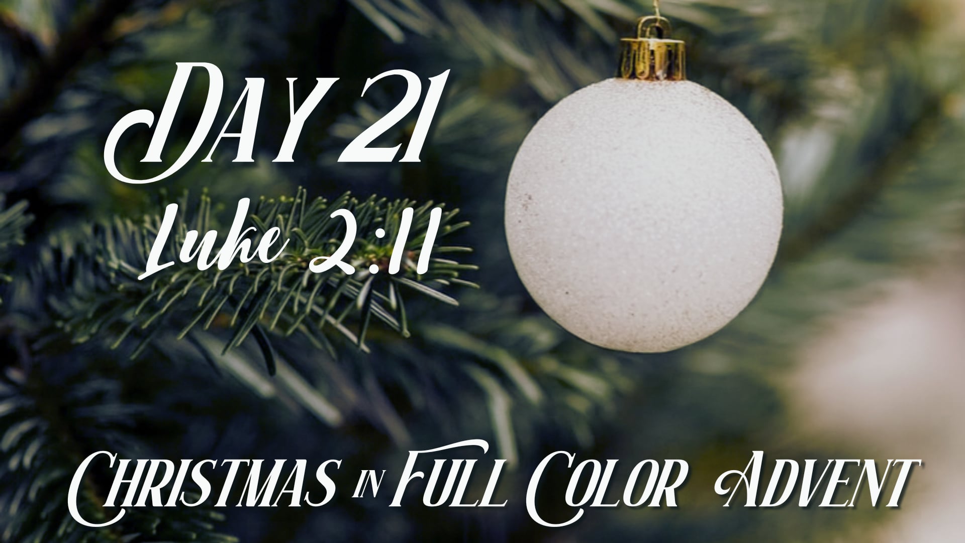 Advent Day 21 | December 20th