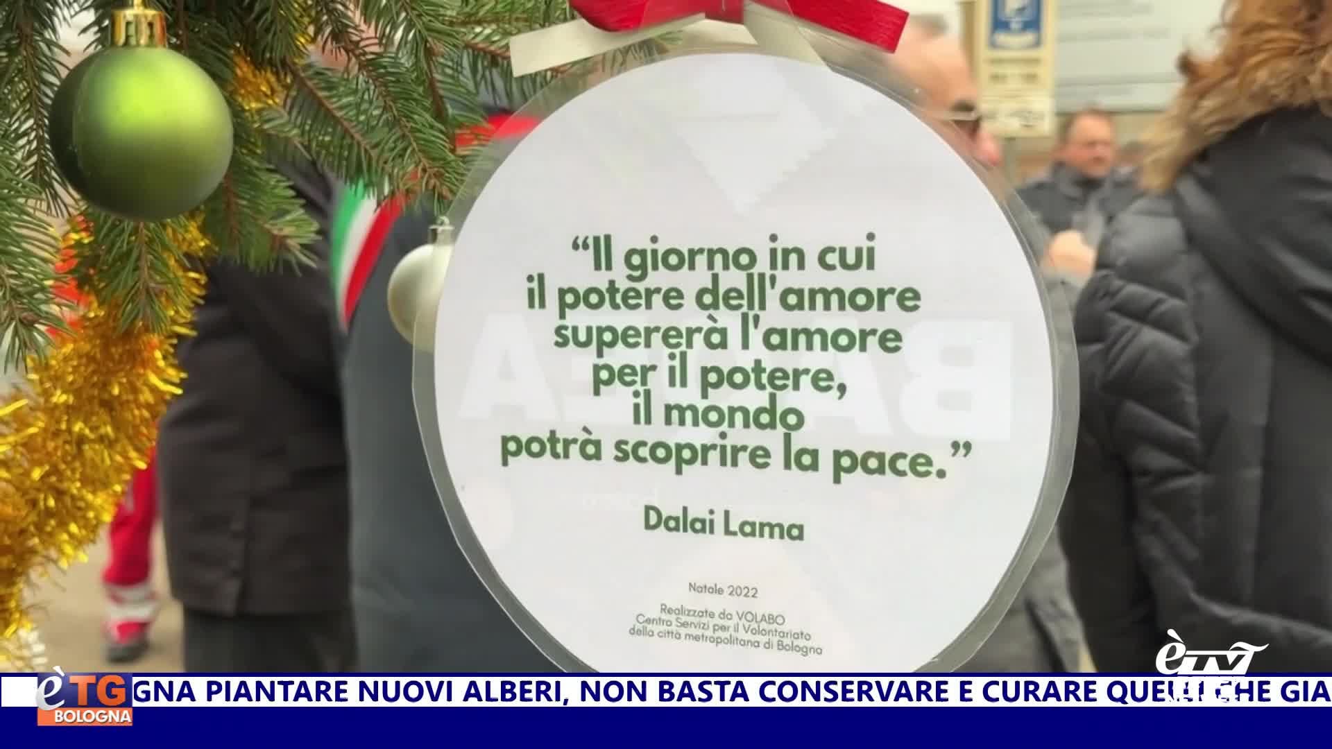 èTG –  Edizione Sera 16/12/2025