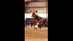 South Florida Soul Rodeo Slow Motion Action