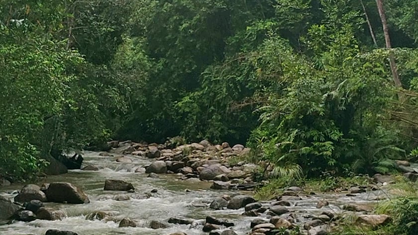 vimeo-video-thumbnail