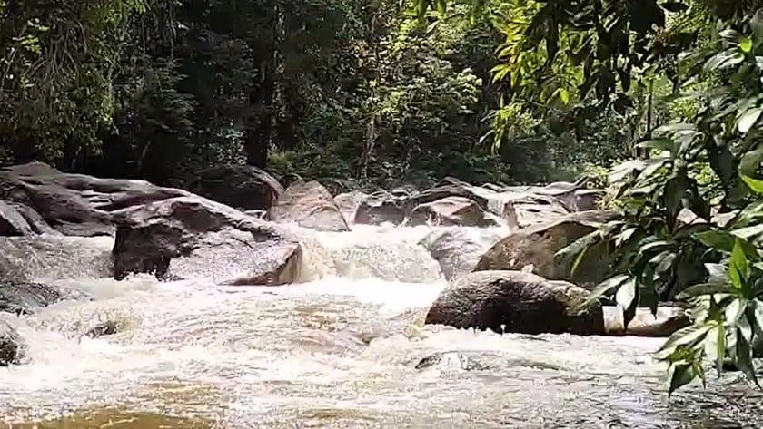 vimeo-video-thumbnail