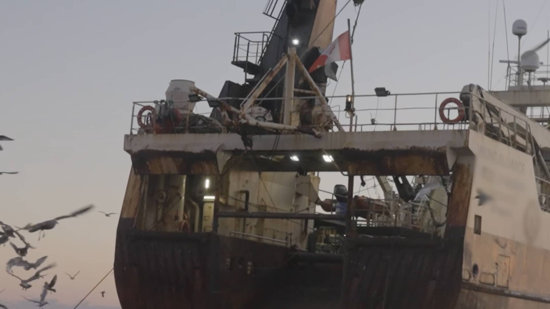 End Bottom Trawling
