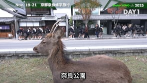 中学３年生の京都・奈良修学旅行を実施しました