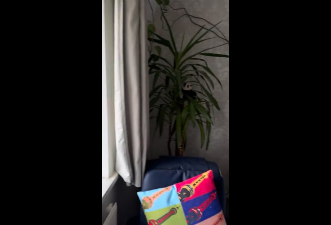 King Size Bedroom in Cute London House for January Main Photo