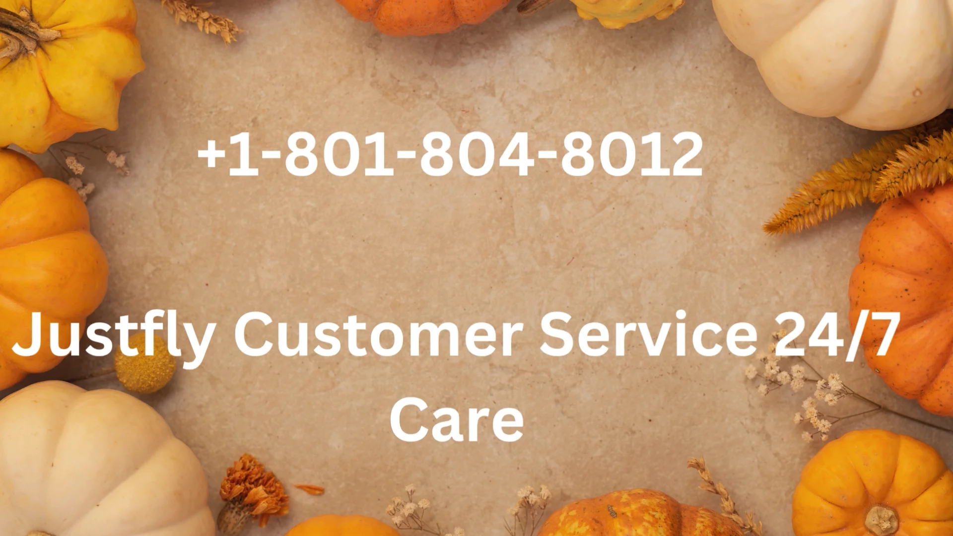 How to Contact Justfly Customer Service: Phone Number, Live Chat & Email Help