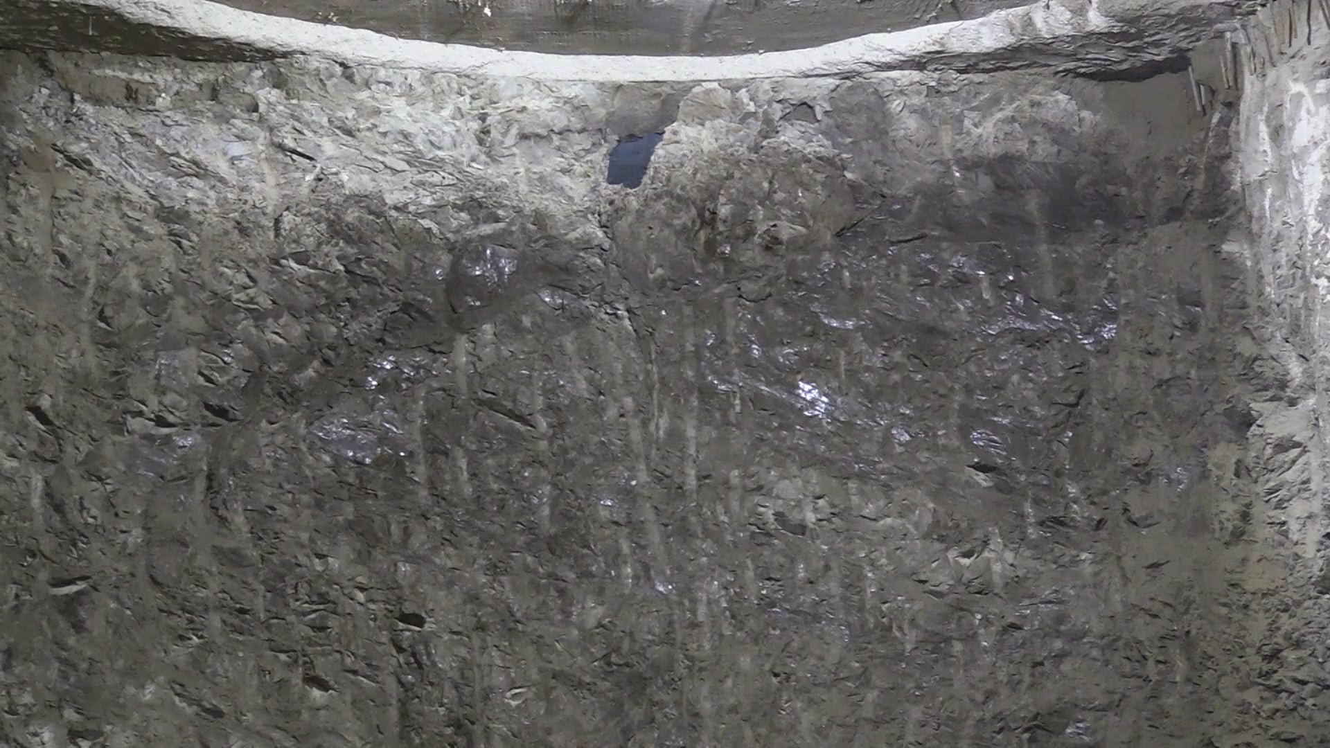 Salvini “battezza” la galleria di Casalecchio