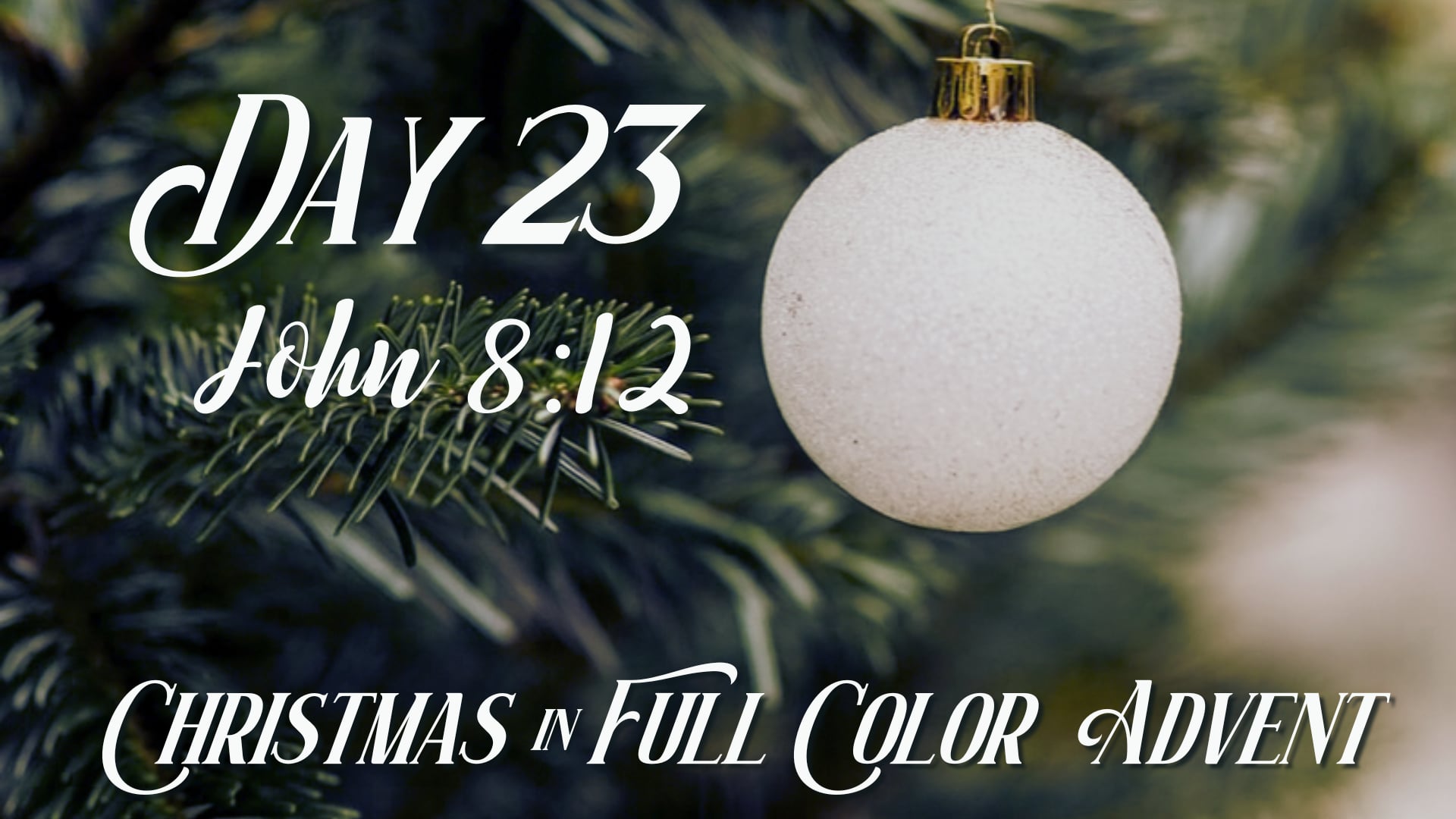 Advent Day 23 | December 22nd