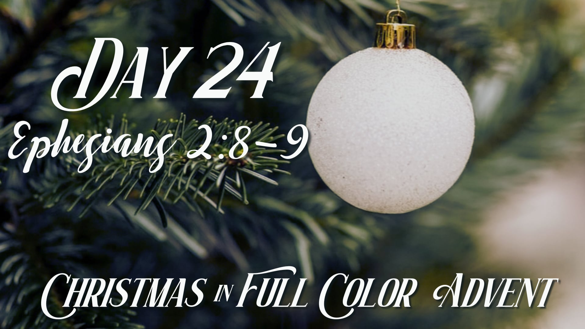 Advent Day 24 | December 23rd