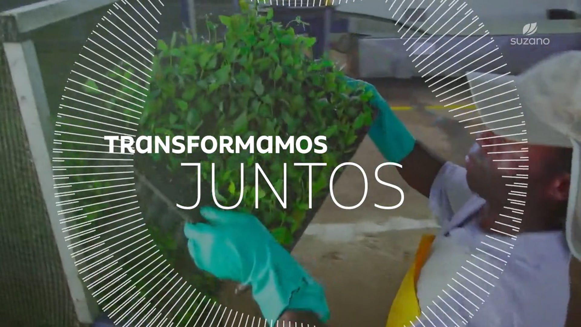 Suzano - Transformamos Junto - Episódio 01