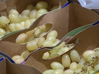 El raïm s'encareix per Cap d'Any, encara que no tant com altres fruites d'importació