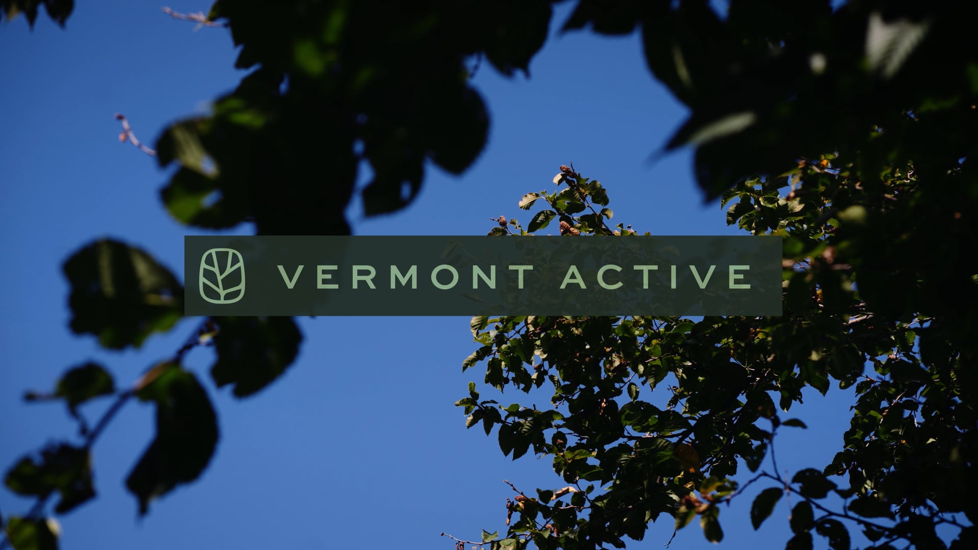 Top Notch - Vermont Active