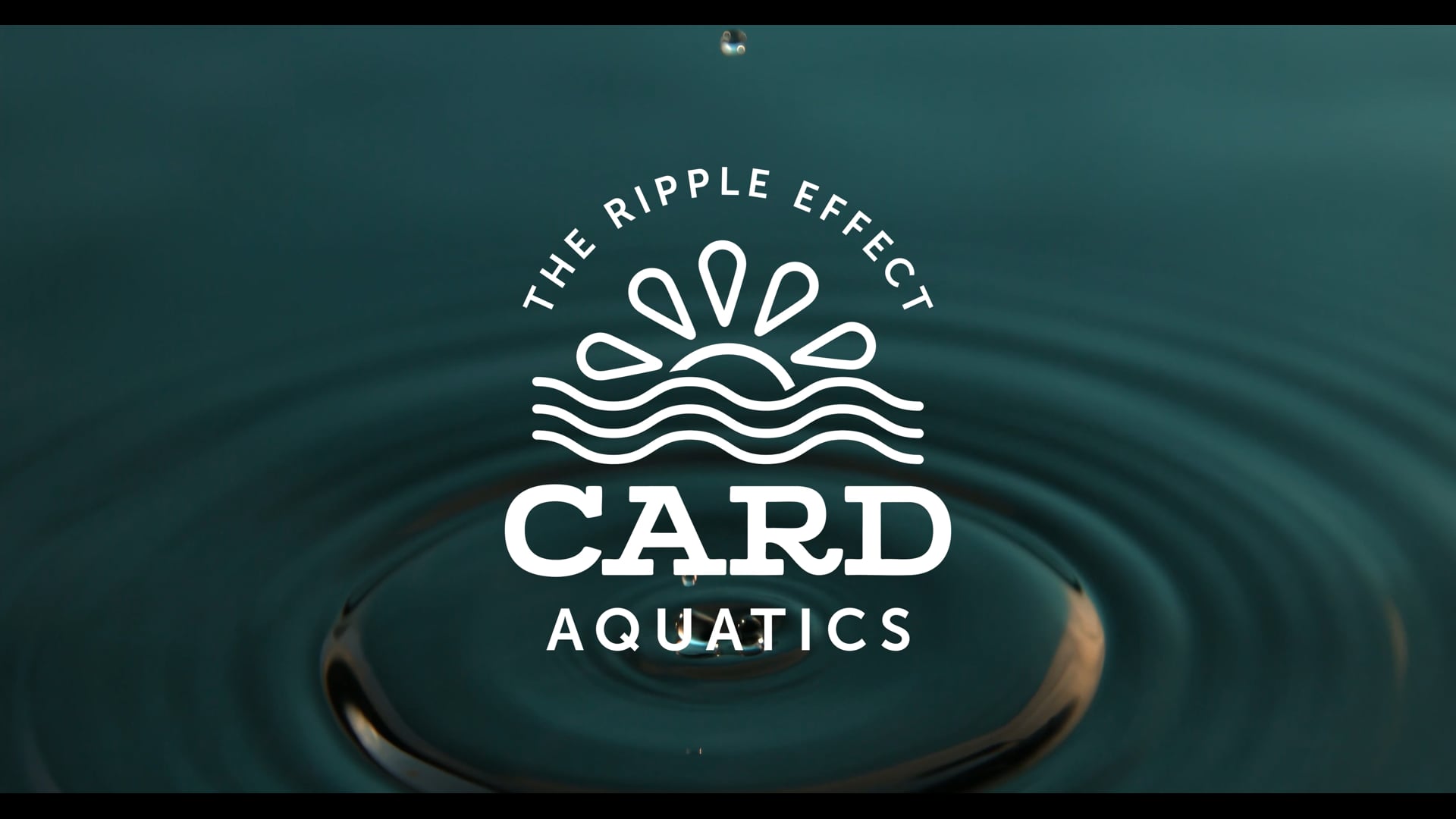 The Ripple Effect: CARD Aquatics