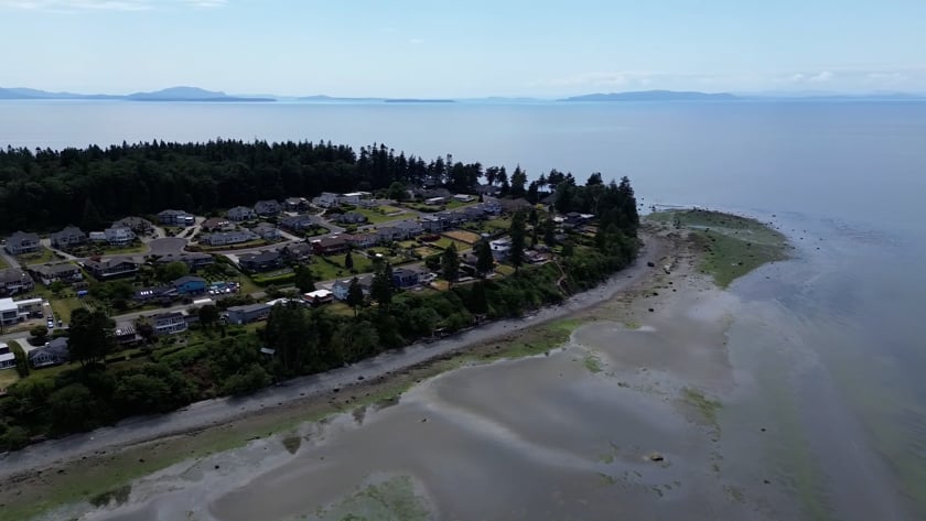 vimeo-video-thumbnail