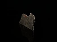 Genuine Muonionalusta Meteorite