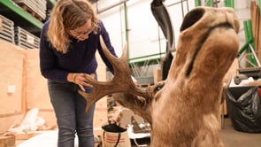 Vignette de la vidéo