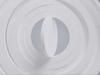 BVIBC 滥用相关风险（第二部分）
