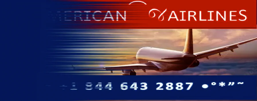 Official American&reg; Customer Service Guide | Talk to American Representative