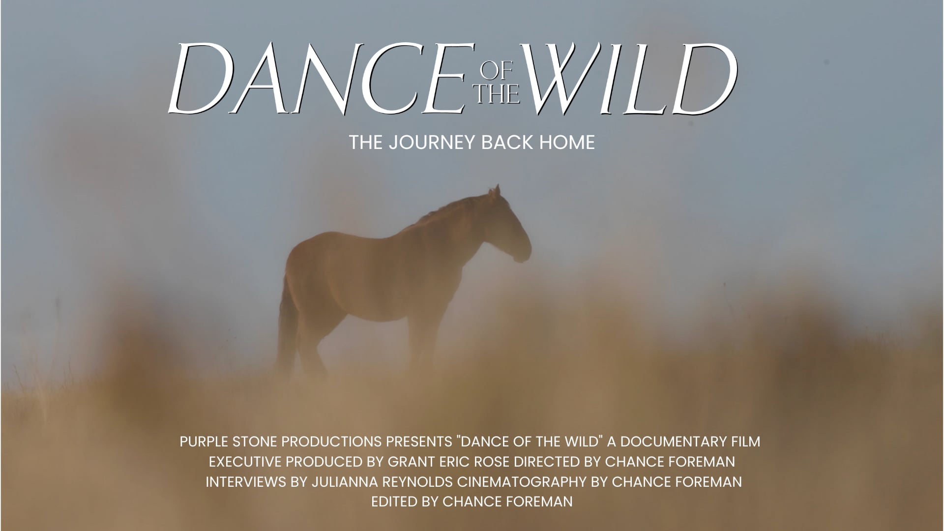 Dance Of The Wild - Official Trailer