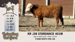 Lot #2 - KR J38 STARDANCE 401M