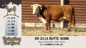 Lot #4 - KR 2114 BUTTE 408M