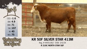 Lot #6 - KR 50F SILVER STAR 413M