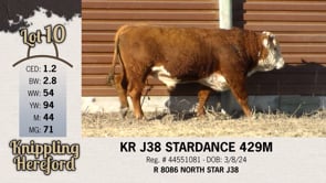 Lot #10 - KR J38 STARDANCE 429M