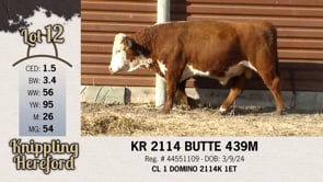 Lot #12 - KR 2114 BUTTE 439M