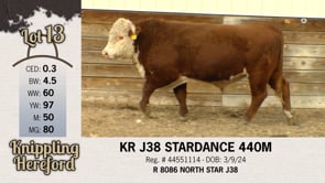 Lot #13 - KR J38 STARDANCE 440M