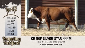 Lot #15 - KR 50F SILVER STAR 444M