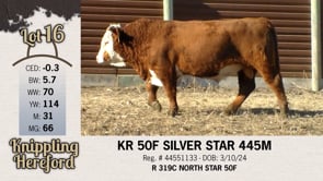 Lot #16 - KR 50F SILVER STAR 445M