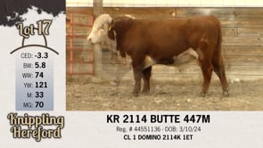 Lot #17 - KR 2114 BUTTE 447M