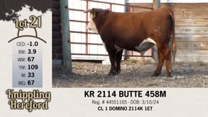 Lot #21 - KR 2114 BUTTE 458M