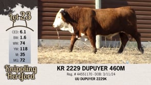 Lot #23 - KR 2229 DUPUYER 460M