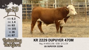 Lot #29 - KR 2229 DUPUYER 470M