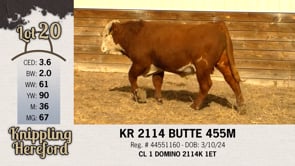 Lot #20 - KR 2114 BUTTE 455M